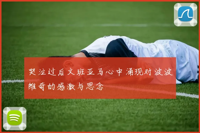 哭泣过后文班亚马心中涌现对波波维奇的感激与思念